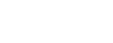 Mechonsite Logo